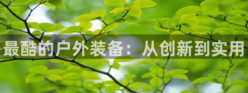 利记投注平台官网