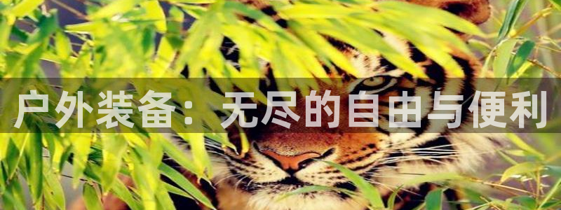 利记官网在线投注