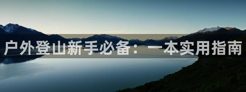 利记官网a
