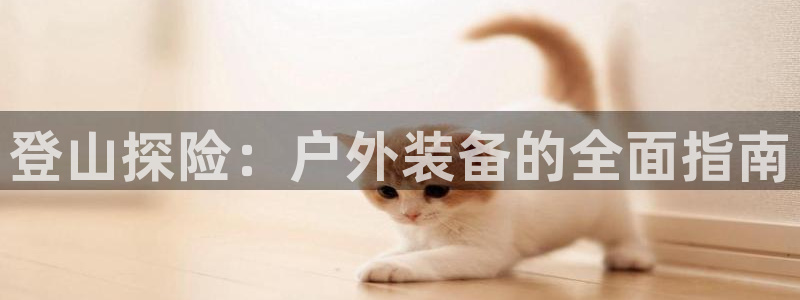 利记官网官方网站