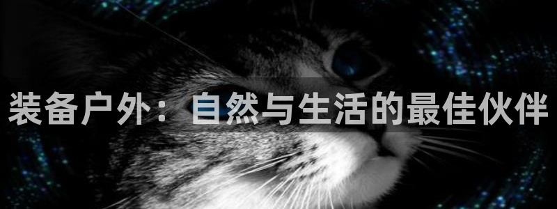 澳博官网app利记网址