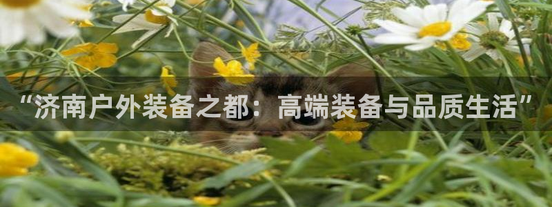 万利记官网电话