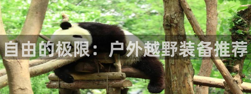 香港利记集团官网地址