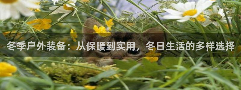 香港利记集团官网