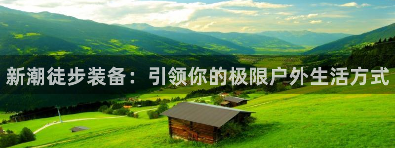 利记投注平台官网