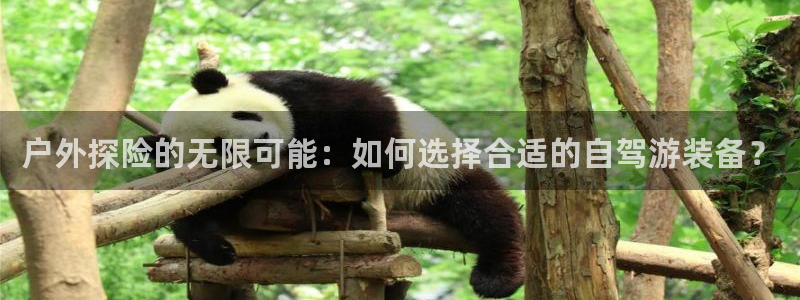 利记官网行业领导者