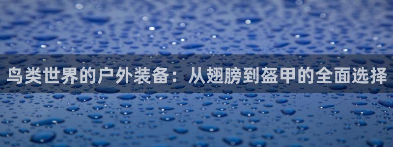 利记手机官网葡京备用