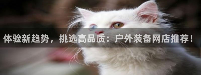 利记官网是什么