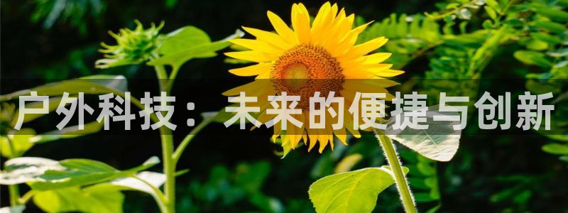 利记手机官网bb电子平台官方