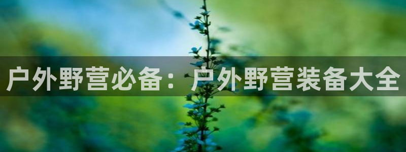 利记博彩官网APP