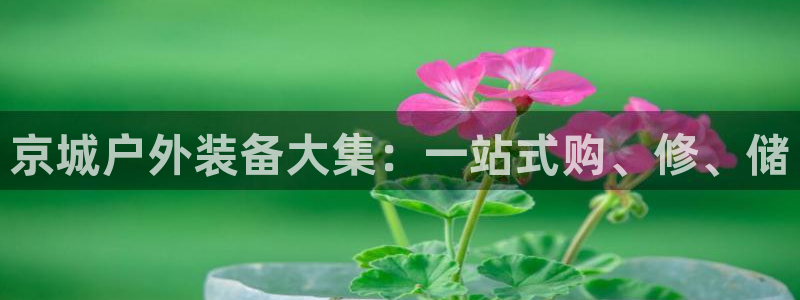 188bet注册利记官网app