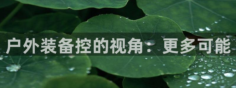 利记官网葡京投注网址