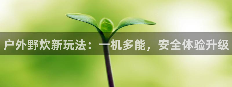 利记官网在线投注