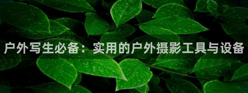 利记二手车行官网