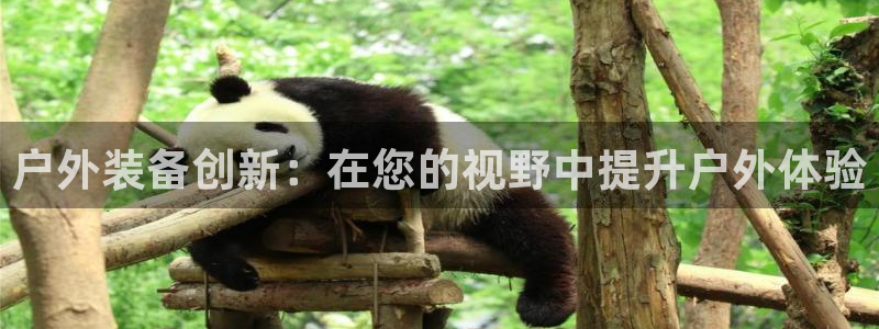 利记投注平台官网