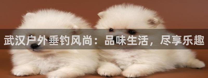 利记手机官网入口