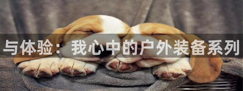 利记官网app下载网址