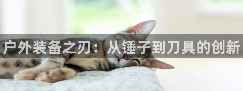 利记彩票官网hd71