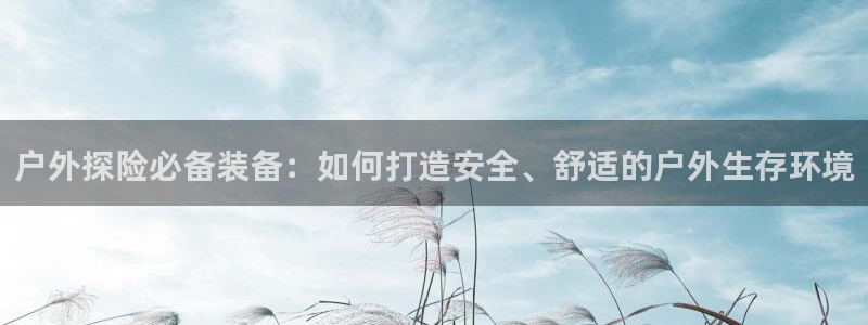 利记国际线址官网