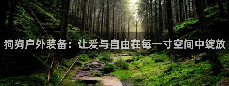 利记坊官网注册